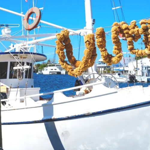 Tarpon Springs