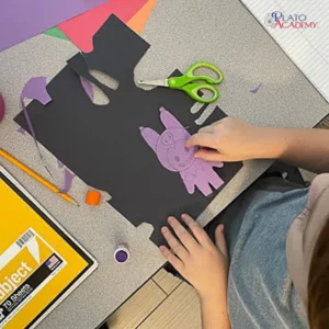 Plato Academy Schools Plato Plus