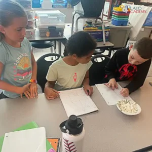 Plato Academy Schools Plato Plus