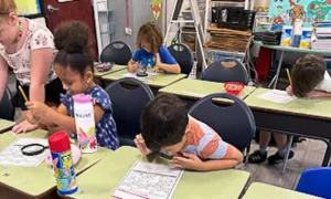 Plato Academy Schools Plato Plus