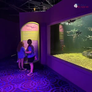 Plato Academy Schools Plato Plus