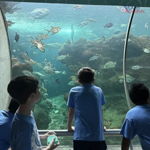 Plato Academy Schools Plato Plus