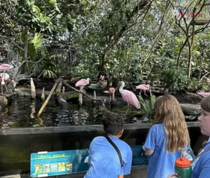 Plato Academy Schools Plato Plus