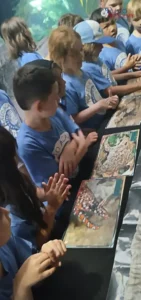 Plato Academy Schools Plato Plus