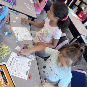 Plato Plus Summer Camp 202501