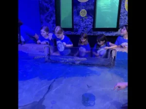 Plato Plus Summer Camp 202501