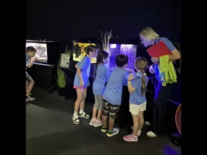 Plato Plus Summer Camp 202501