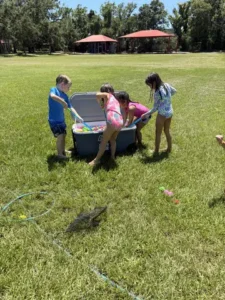 Plato Plus Summer Camp 202501
