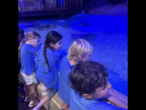 Plato Plus Summer Camp 202501