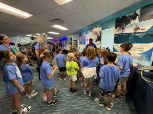 Plato Plus Summer Camp 202501