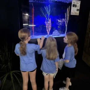 Plato Plus Summer Camp 202501