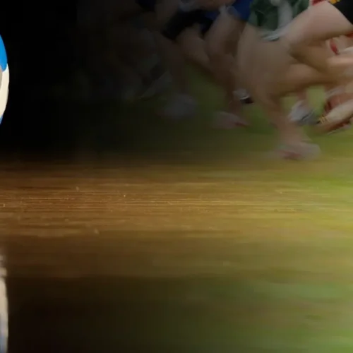 Volleyball and cross country