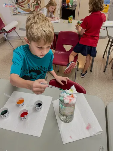 Plato Academy Tarpon Springs-11115