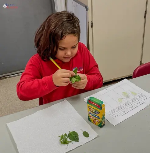 Plato Academy Tarpon Springs-12126