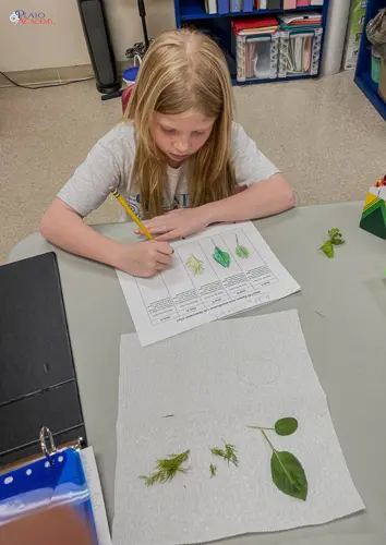 Plato Academy Tarpon Springs-12429