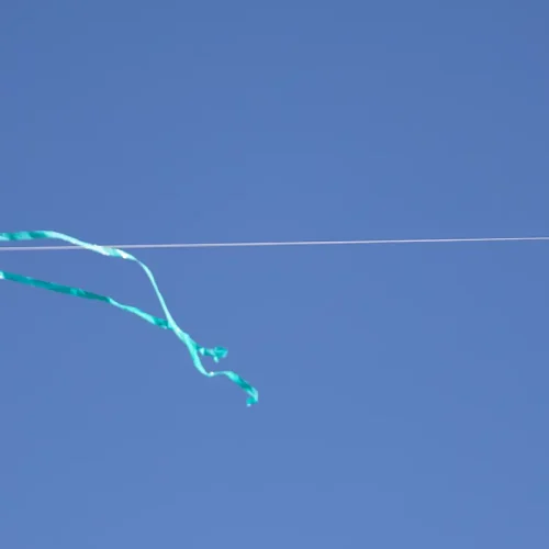 Plato Academy Trinity Kite Flying-Featured image