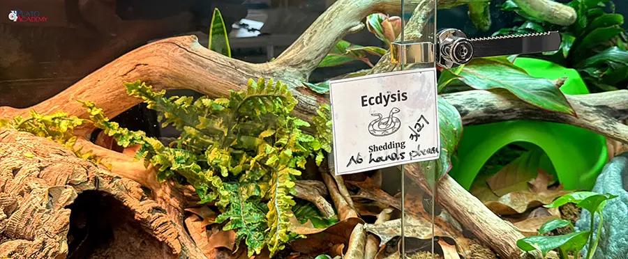 Greek Language is Everywhere