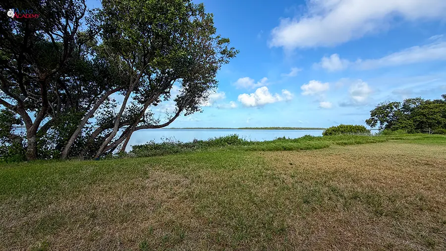 Plato Academy Palm Harbor at the Tampa Bay Watch 2026