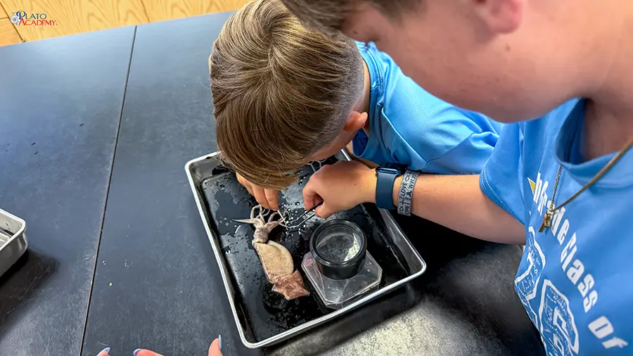 Plato Academy Palm Harbor at the Tampa Bay Watch 2026