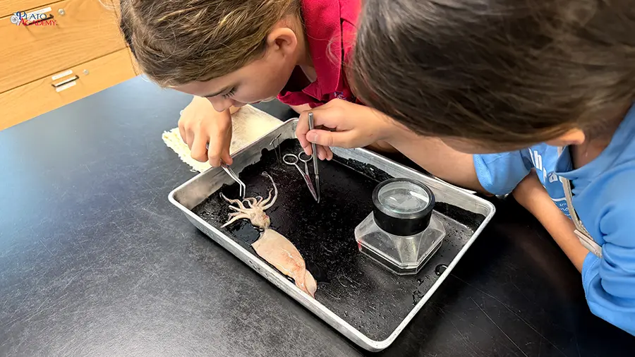 Plato Academy Palm Harbor at the Tampa Bay Watch 2026