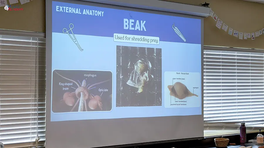 Plato Academy Palm Harbor at the Tampa Bay Watch 2026