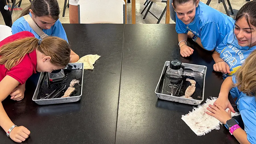 Plato Academy Palm Harbor at the Tampa Bay Watch 2026