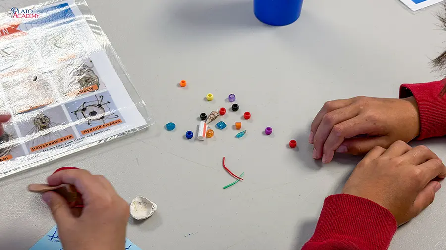 Plato Academy Palm Harbor at the Tampa Bay Watch 2026