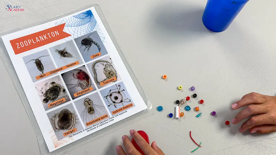 Plato Academy Palm Harbor at the Tampa Bay Watch 2026