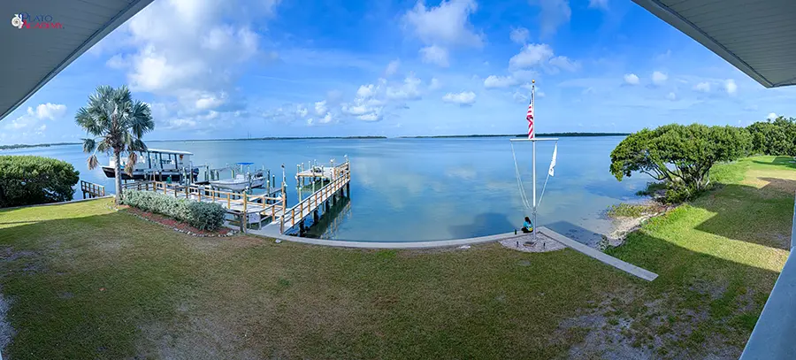 Plato Academy Palm Harbor at the Tampa Bay Watch 2026