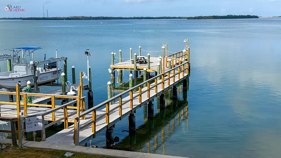 Plato Academy Palm Harbor at the Tampa Bay Watch 2026